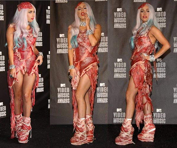 Gaga's meat bag | Lady gaga, Celebrities, Gaga