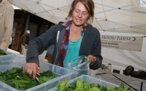 Overwintered spinach from Aspen Moon Farm at the Boulder County Farmers’ Market.