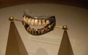 11 art teeth wiki