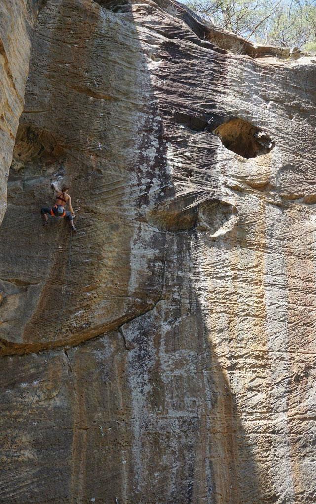  Margo Hayes has sent two 5.14c climbs this year. “Pure Imagination” in Red River Gorge, Kentucky (pictured left) and “The Crew” in Rifle, Colorado. 