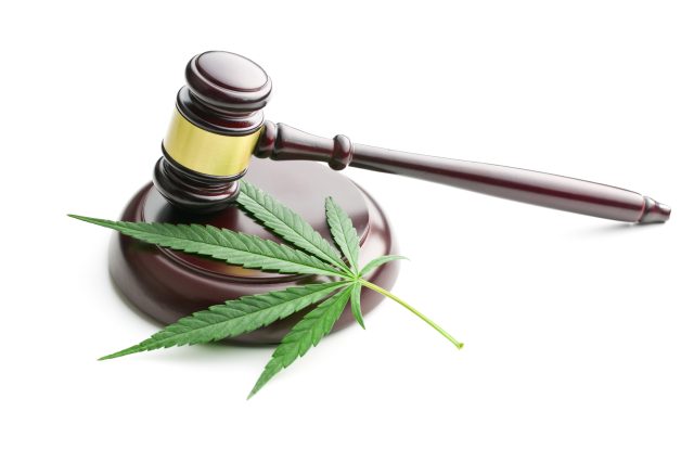Supreme Court weighs on definition of marijuana