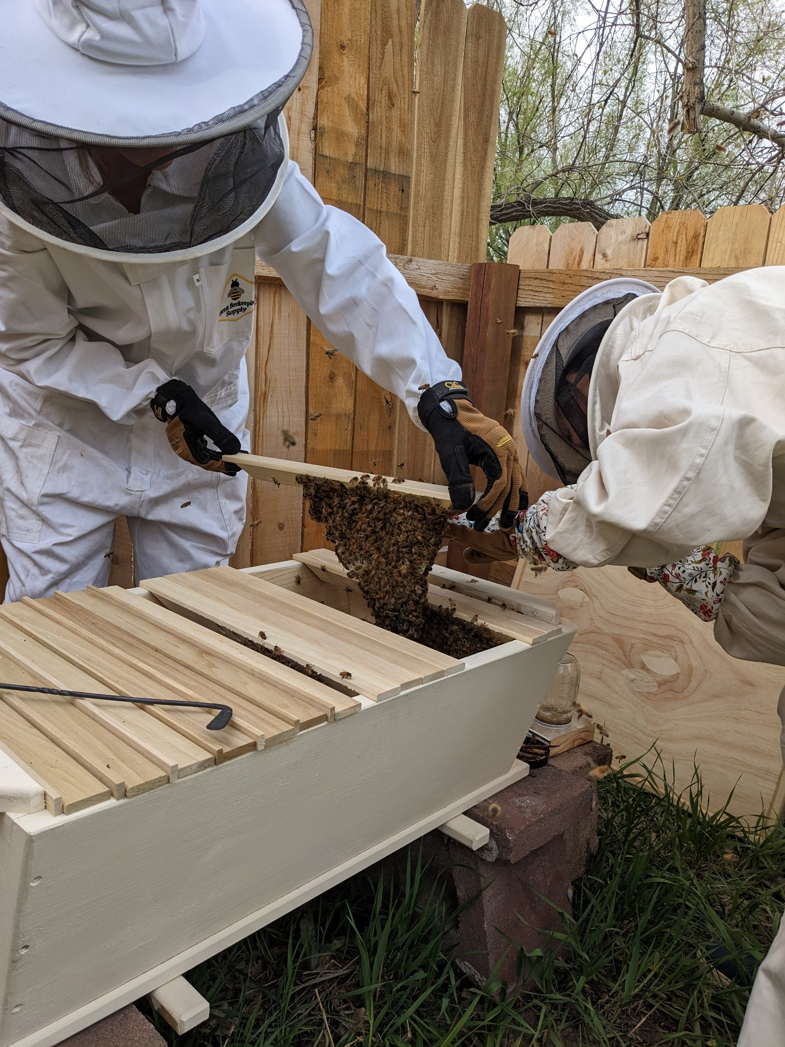 balanced beekeeping for everyone, natural beekeeping, top bar hive