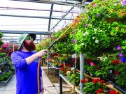 Best of Boulder 2024: Home and Garden