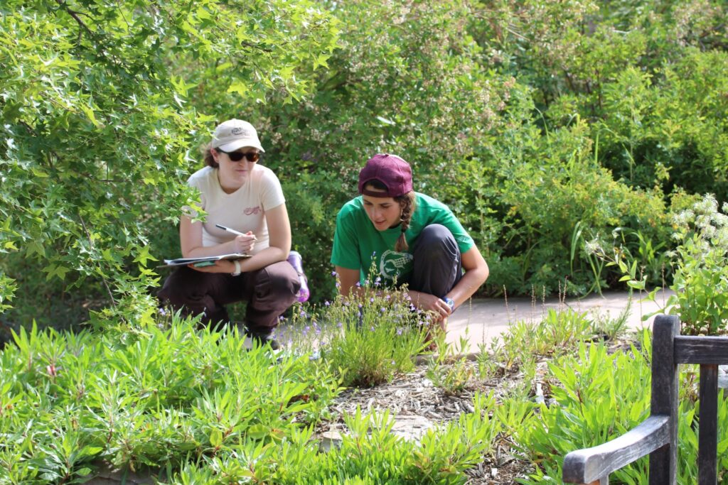 two white women in hats looking at green plants surrounded by bushes and trees